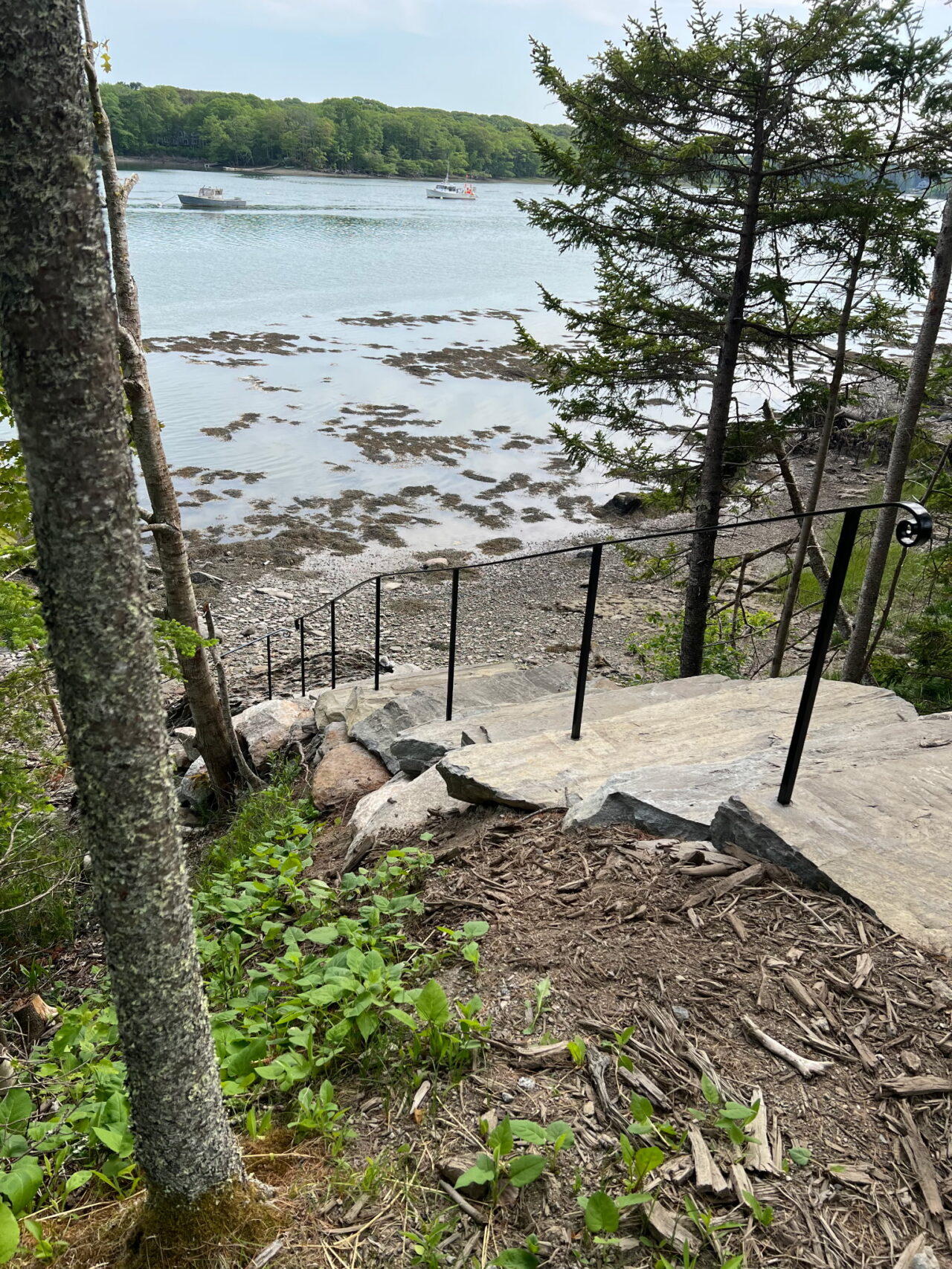 Steps